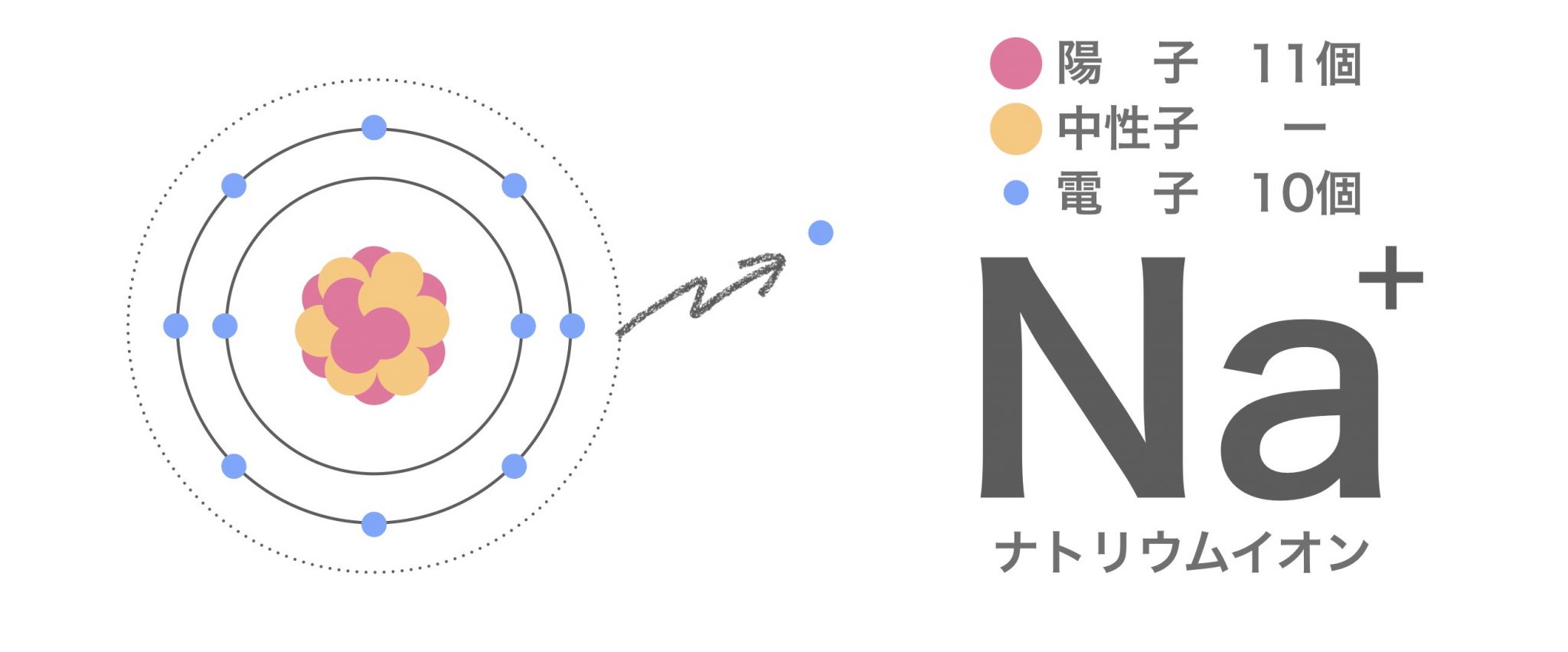 イオンと原子の違いは？覚えるべきポイントを徹底解説！｜高校化学をスキマ時間でわかりやすく
